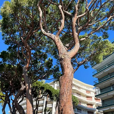 Le Saint-james - 108 Croisette By Halldis *